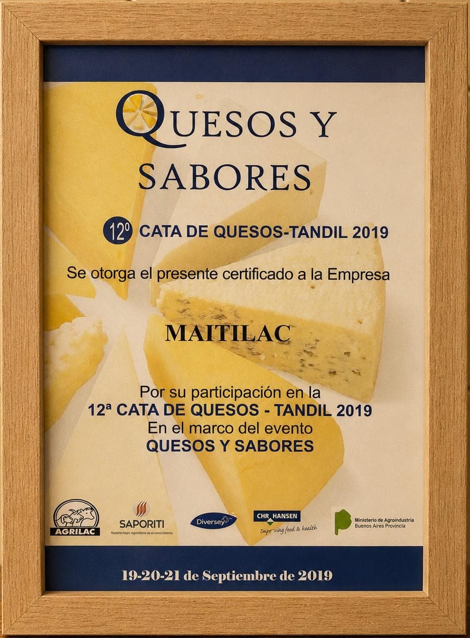 Diploma Participación 2019